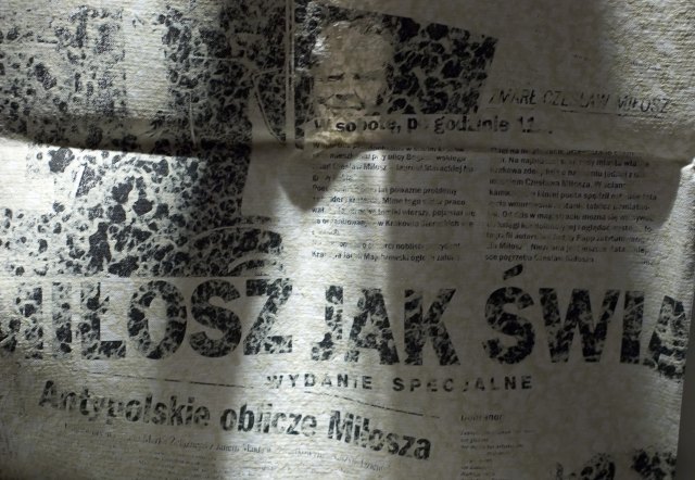 Elbląg Artystyczna biblioteka