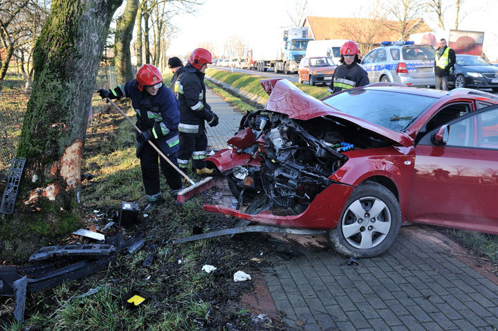Kazimierzowo: kia na drzewie zdjęcie nr 51405