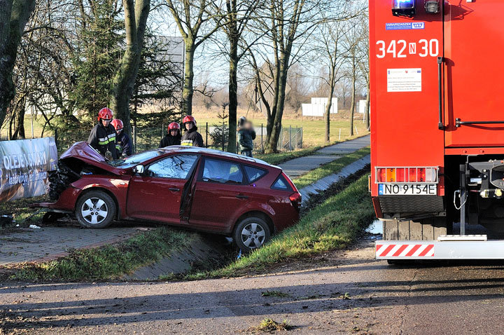 Kazimierzowo: kia na drzewie zdjęcie nr 51413