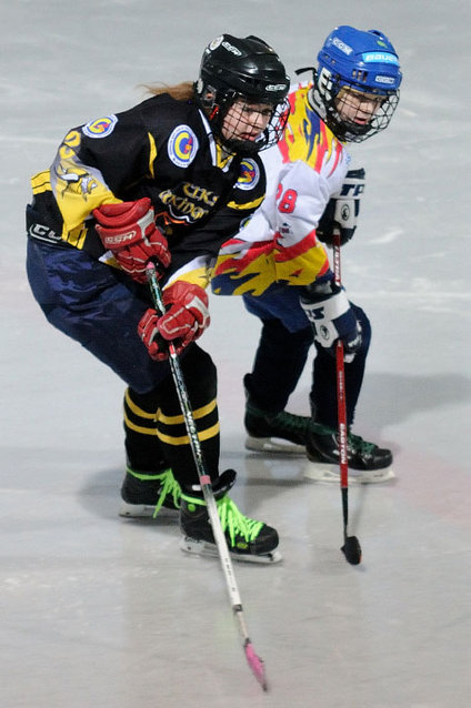 Grali najmłodsi hokeiści zdjęcie nr 51600