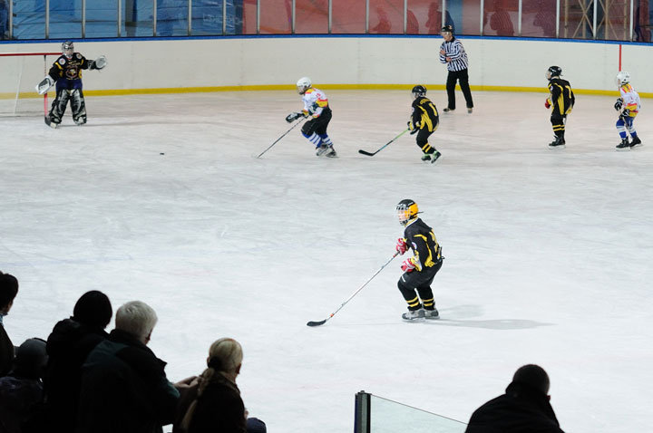 Grali najmłodsi hokeiści zdjęcie nr 51615