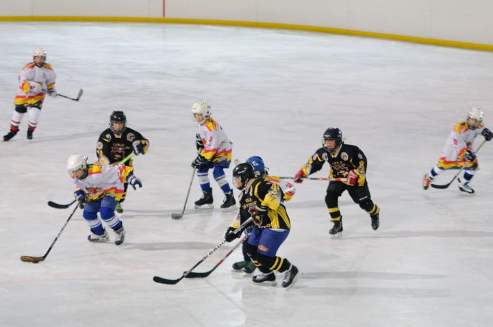 Grali najmłodsi hokeiści zdjęcie nr 51606