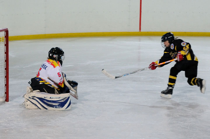 Grali najmłodsi hokeiści zdjęcie nr 51602