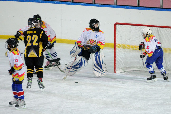 Grali najmłodsi hokeiści zdjęcie nr 51612