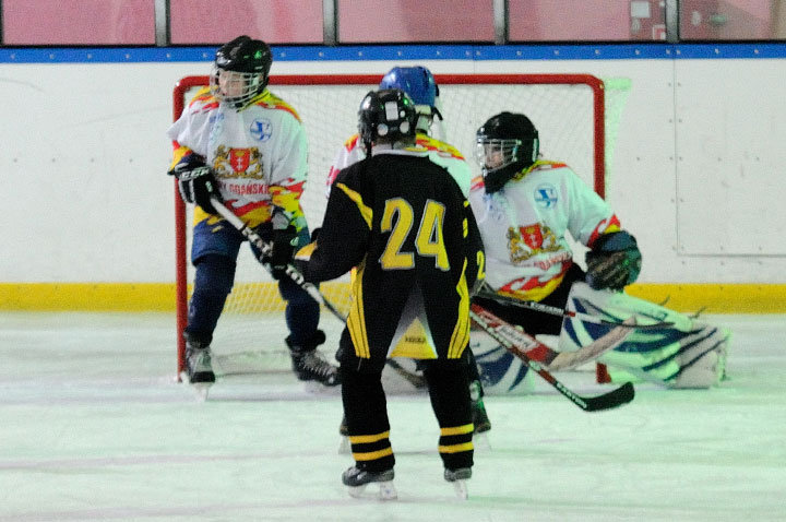 Grali najmłodsi hokeiści zdjęcie nr 51607