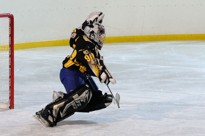 Grali najmłodsi hokeiści zdjęcie nr 51608