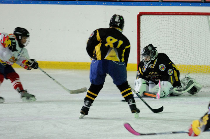 Grali najmłodsi hokeiści zdjęcie nr 51605