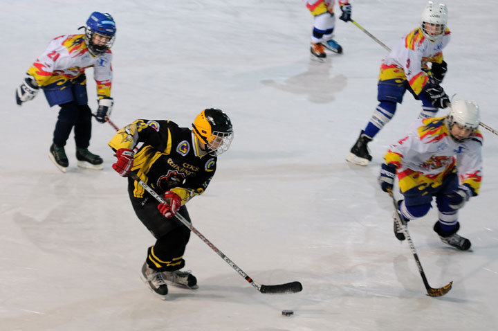 Grali najmłodsi hokeiści zdjęcie nr 51613