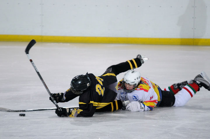 Grali najmłodsi hokeiści zdjęcie nr 51604