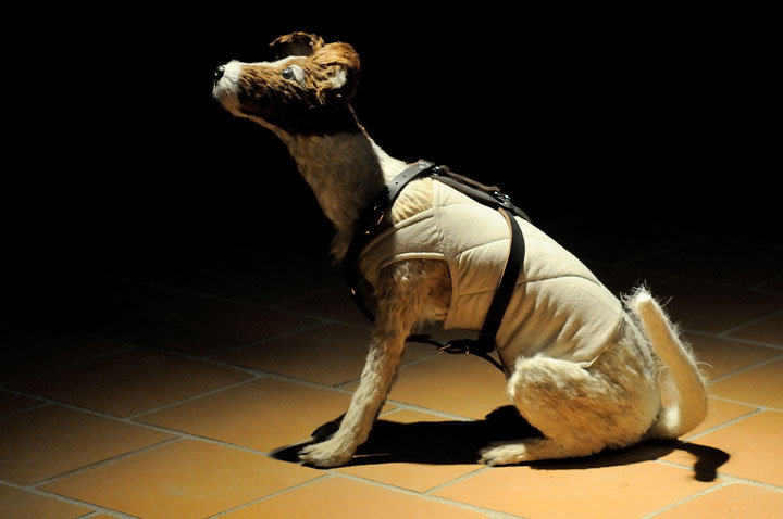 Medialny Stan Wyjątkowy zdjęcie nr 52175