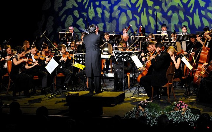 Karnawałowy koncert EOK zdjęcie nr 52224
