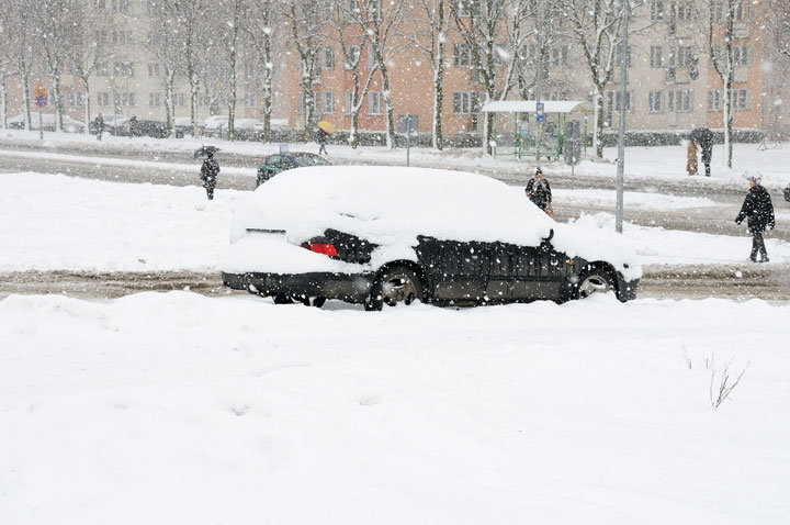 Elbląg Sypnęło śniegiem