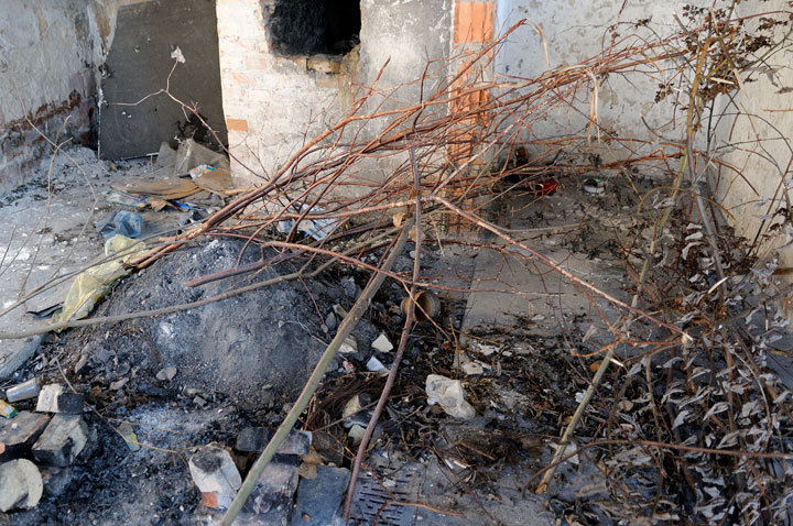 Ciężka zima dla bezdomnych zdjęcie nr 52945