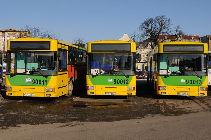 Autobusy komunikacji miejskiej w Elblągu zdjęcie nr 53028