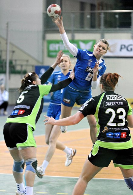 Start nadal w grze zdjęcie nr 53128