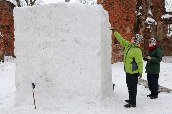 Rzeźby śniegowe w Galerii El zdjęcie nr 53368