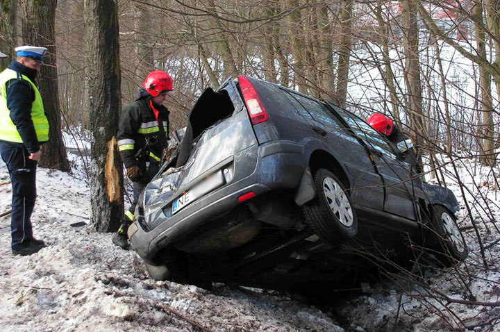 Piastowo: fordem uderzyła w drzewo zdjęcie nr 53631
