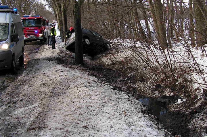 Piastowo: fordem uderzyła w drzewo zdjęcie nr 53630