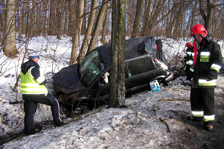 Piastowo: fordem uderzyła w drzewo zdjęcie nr 53634
