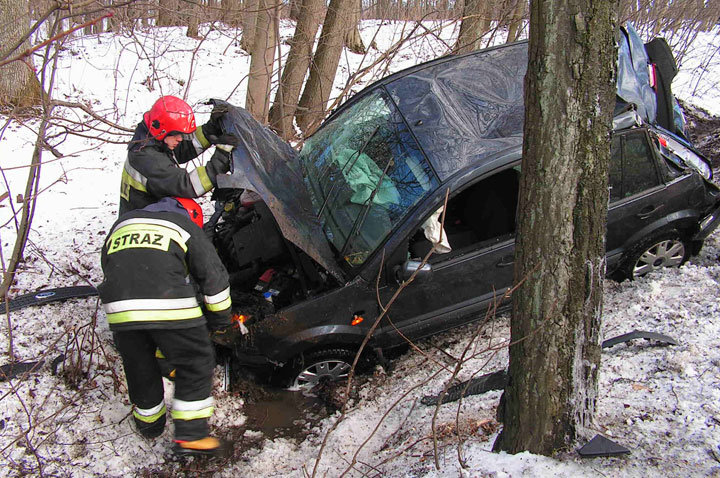 Piastowo: fordem uderzyła w drzewo zdjęcie nr 53632