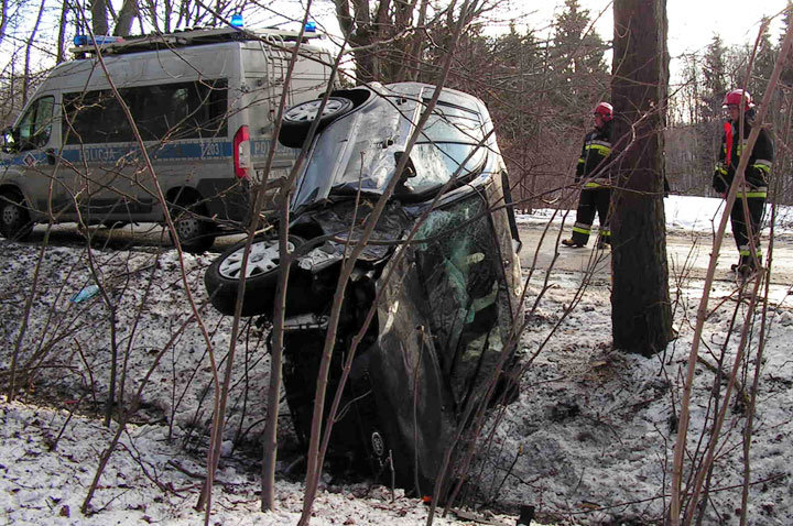 Piastowo: fordem uderzyła w drzewo zdjęcie nr 53627