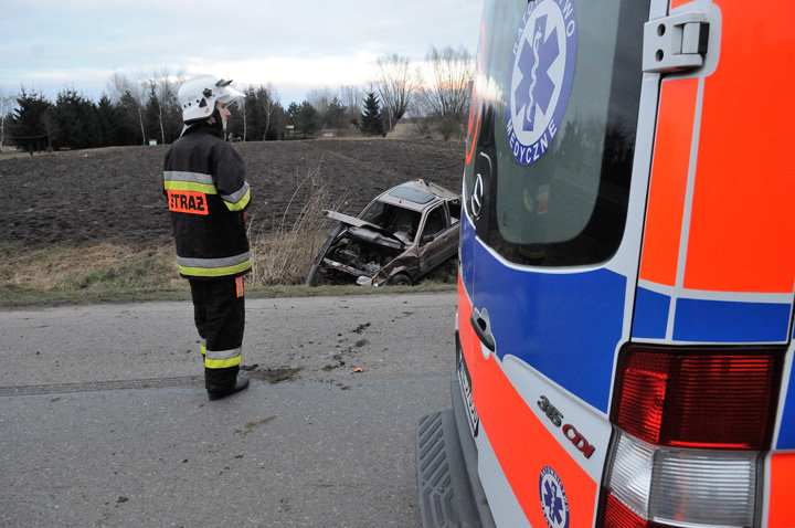 Krzewsk: fordem dachowali do rowu zdjęcie nr 53929