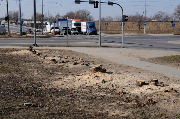 Przebudowa 503 i skrzyżowania Grota-Roweckiego z 12-go Lutego zdjęcie nr 53964