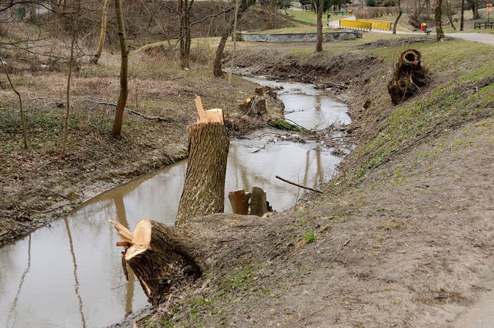 Trwa regulacja rzeki Kumieli zdjęcie nr 54709