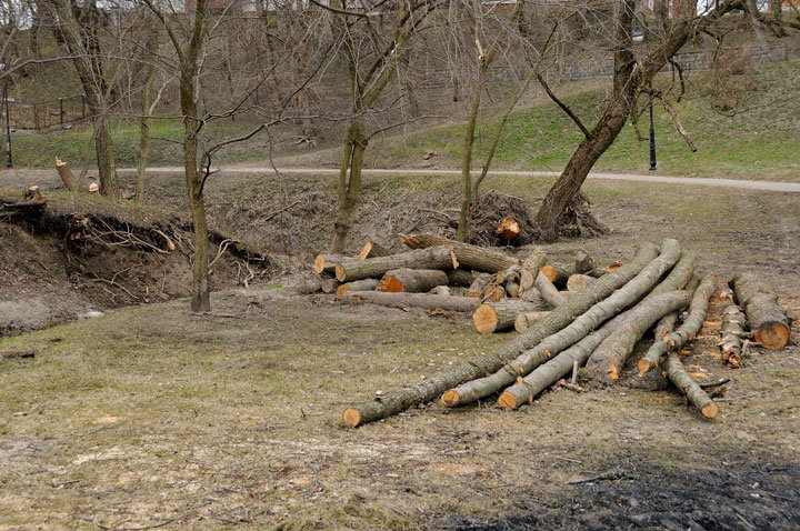 Trwa regulacja rzeki Kumieli zdjęcie nr 54708