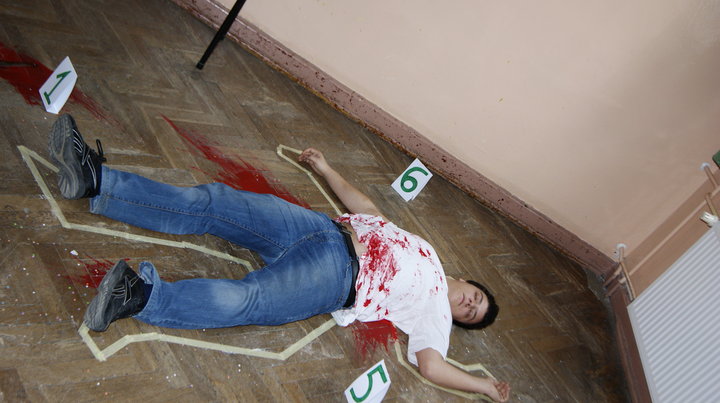 Festiwal nauk już po raz piąty zdjęcie nr 54771