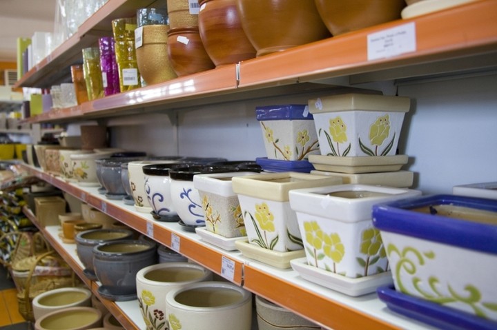MGarden – Twój ogród naszą pasją! zdjęcie nr 55265