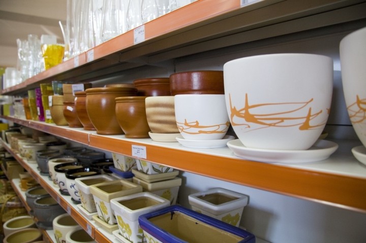 MGarden – Twój ogród naszą pasją! zdjęcie nr 55267