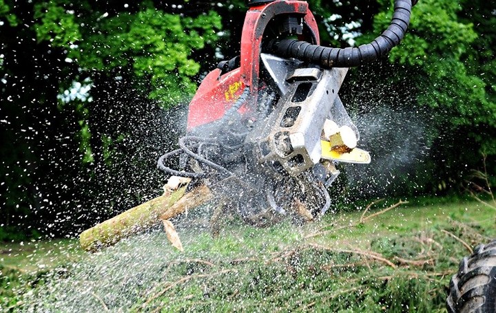 Z naturą za pan brat zdjęcie nr 57627