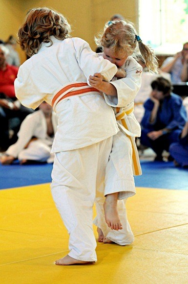 Integracyjny turniej judo zdjęcie nr 58167