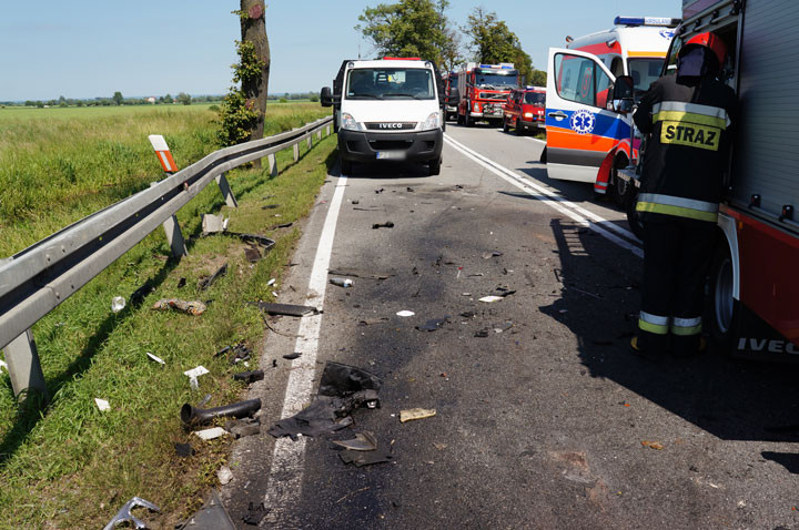 Śmiertelny wypadek na trasie Elbląg-Malbork zdjęcie nr 58329