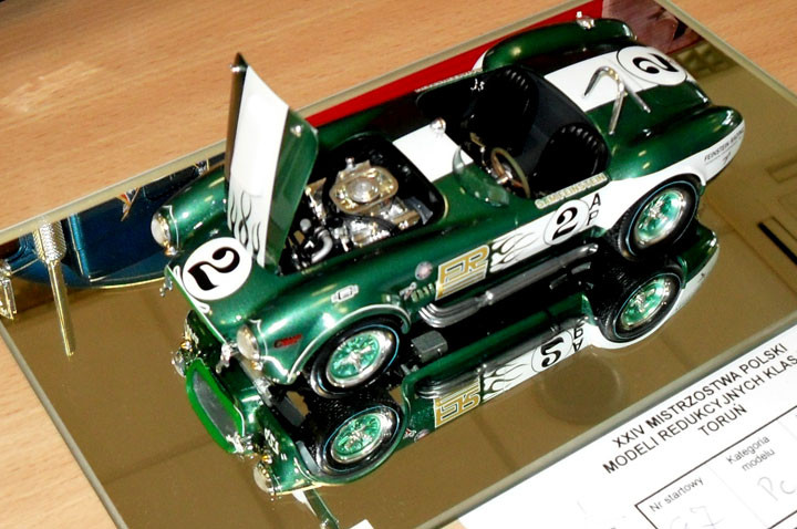 Sukces elbląskich modelarzy zdjęcie nr 58423