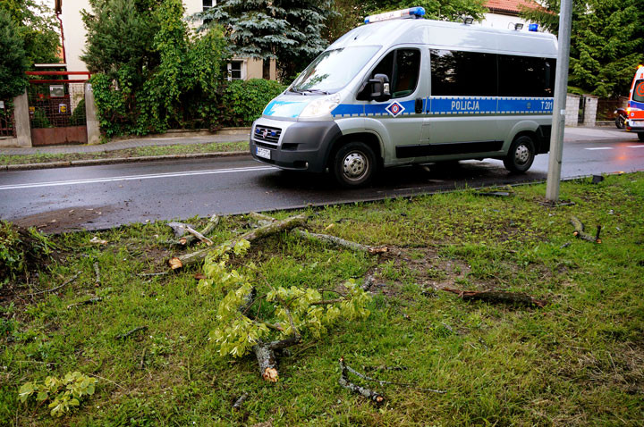 Kościuszki: saabem uderzyła w drzewo zdjęcie nr 58513
