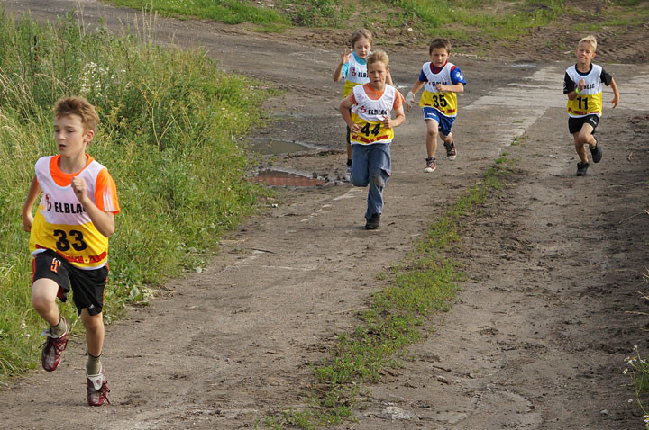 Czerwcowe harce w Łęczu zdjęcie nr 58735