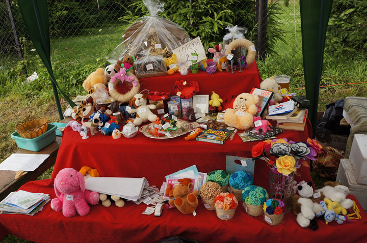 Czerwcowe harce w Łęczu zdjęcie nr 58717