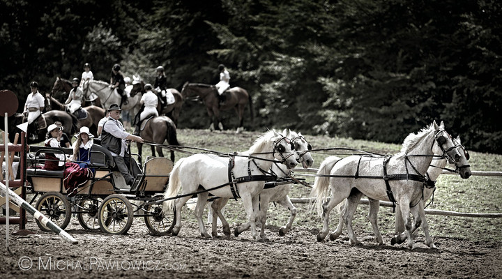 Piastowiada 2012 zdjęcie nr 59072