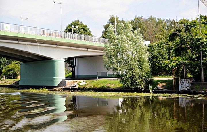 Zawsze jest „dziękuję” lub „przepraszam” zdjęcie nr 59111