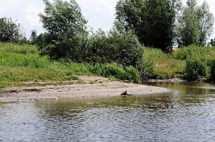 Zawsze jest „dziękuję” lub „przepraszam” zdjęcie nr 59121