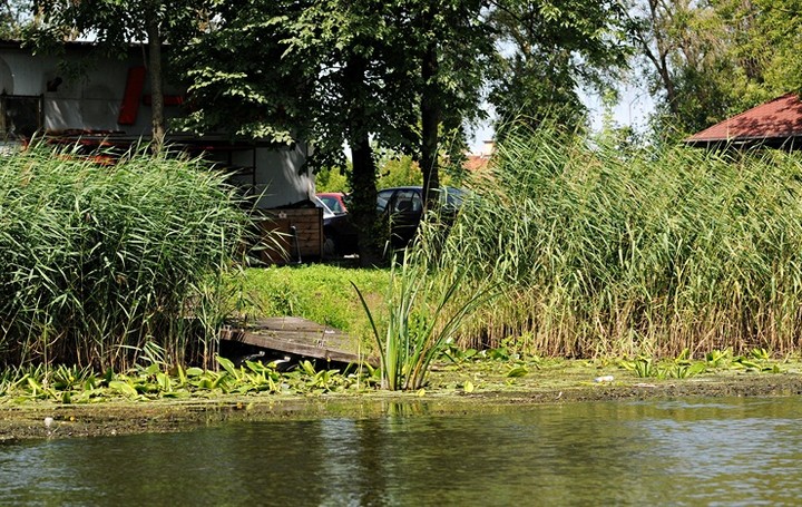 Zawsze jest „dziękuję” lub „przepraszam” zdjęcie nr 59112