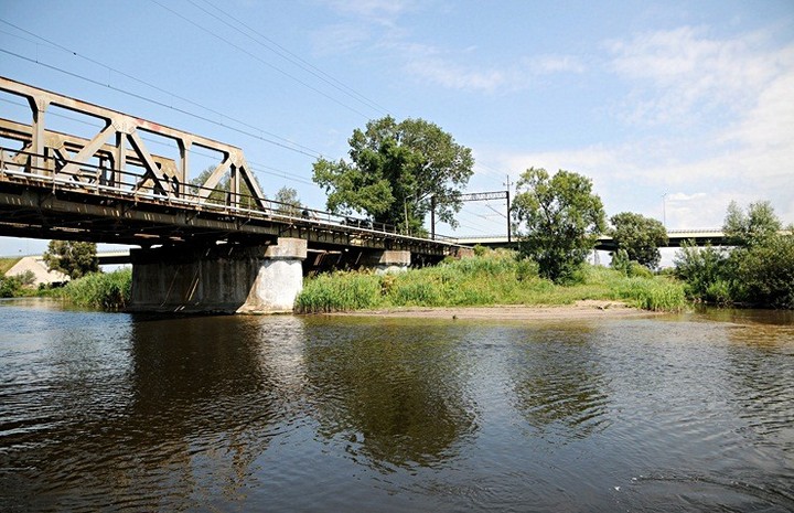 Zawsze jest „dziękuję” lub „przepraszam” zdjęcie nr 59118