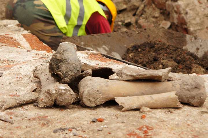 Badania archeologiczne na ul. Pocztowej zdjęcie nr 60016