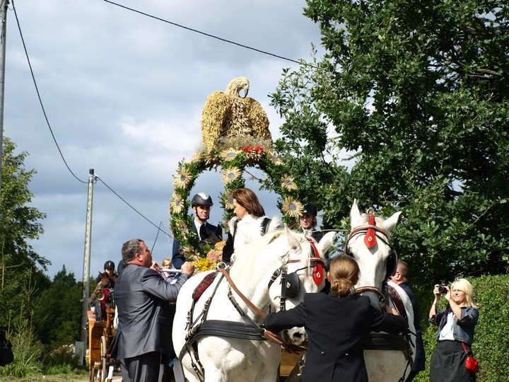 Piastowskie dożynki zdjęcie nr 61100