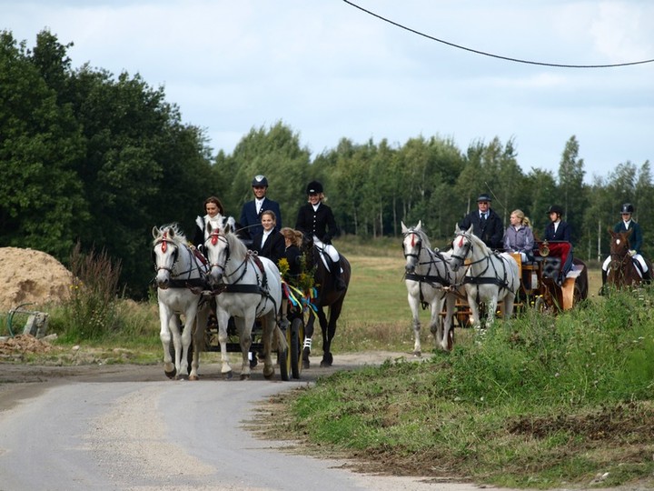 Piastowskie dożynki zdjęcie nr 61099