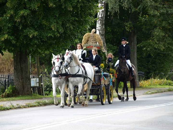 Piastowskie dożynki zdjęcie nr 61102