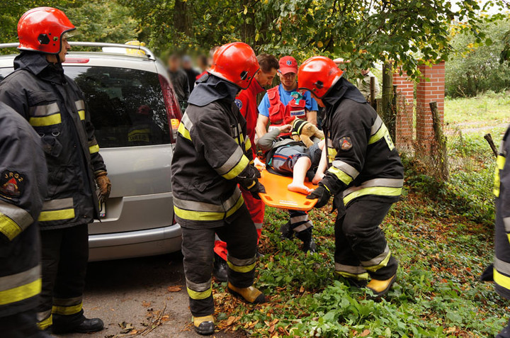 Helenowo: oplem w drzewo zdjęcie nr 61830