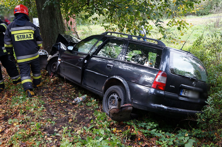 Helenowo: oplem w drzewo zdjęcie nr 61823